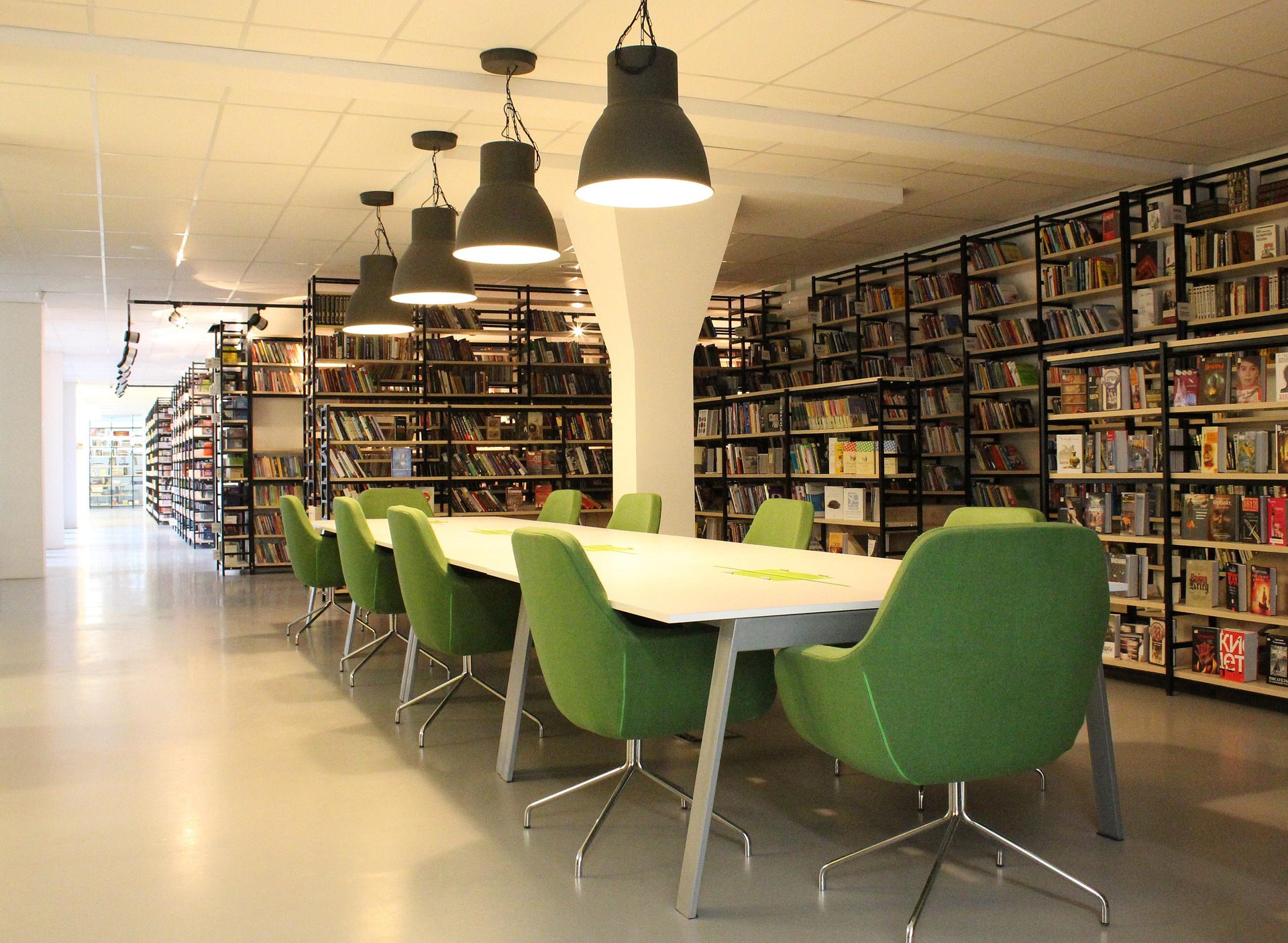 klimkin-library-922310_1920